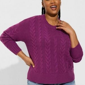 NWT Torrid Cable Crop Pullover Sweater